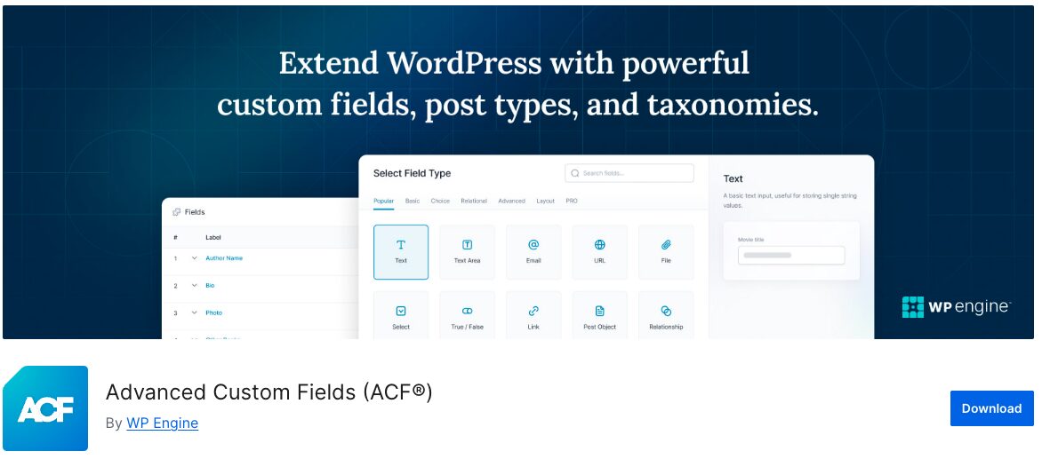 20. Advanced Custom Fields (ACF)